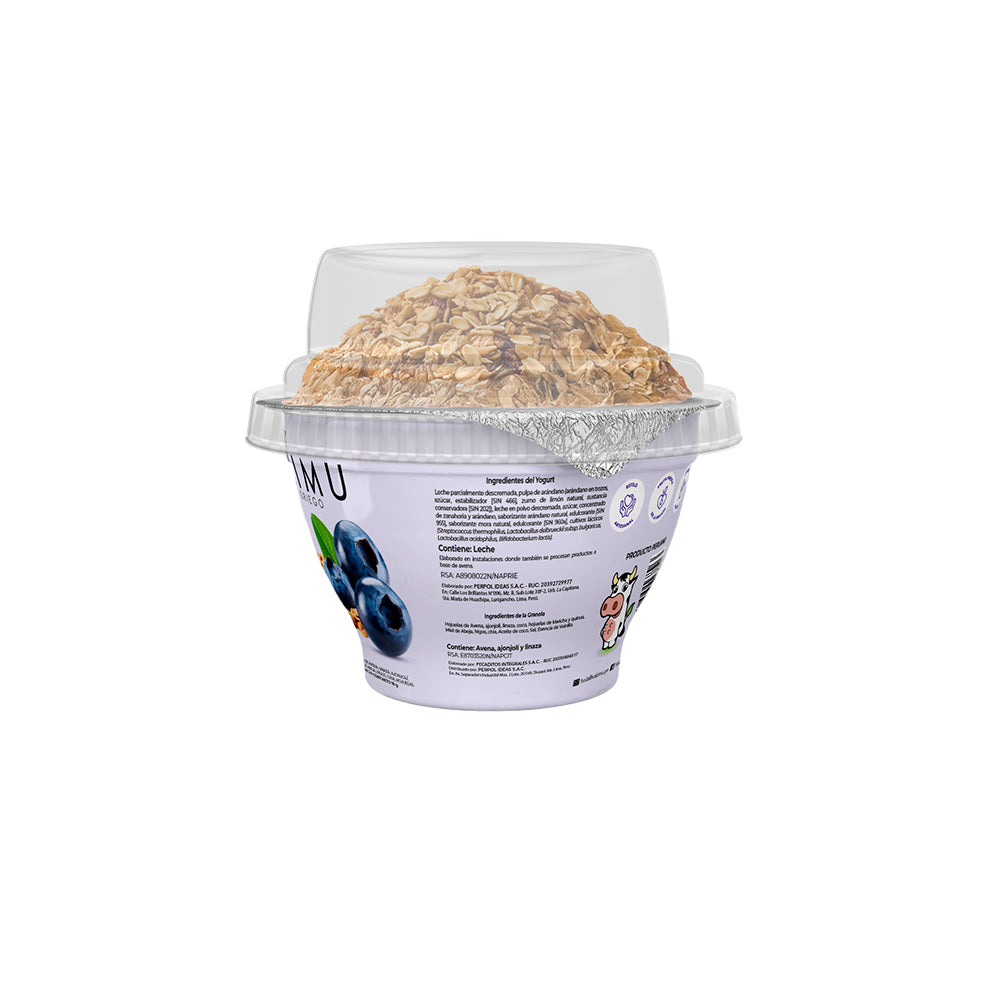Yogurt Griego Arándano + Granola 178 g